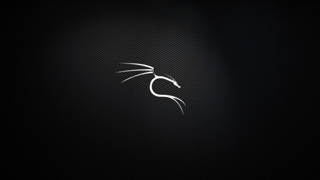5 популярных инструментов для пентестинга на Kali Linux