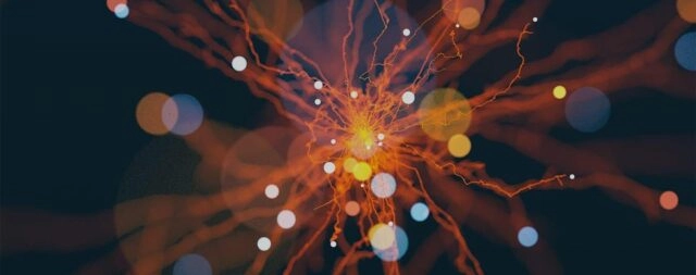 Разработчики технологий искусственного интеллекта смогут пользоваться чужими персональными данными