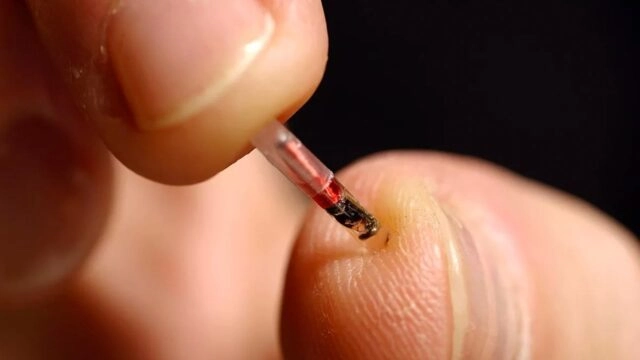 В США хотят запретить принудительное чипирование людей