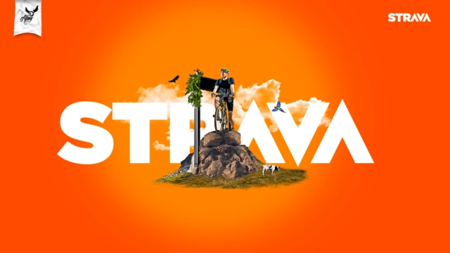 Приложение Strava показывает личную информацию пользователей незнакомцам