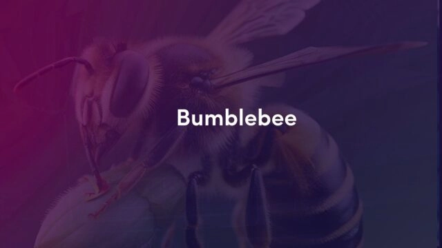 Атаки Bumblebee: новая угроза через SEO и тайпсквоттинг