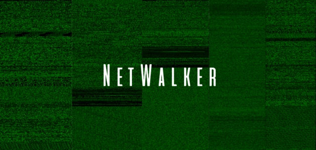 Киберпреступники из NetWalker за 5 месяцев заработали около 25 млн. долларов