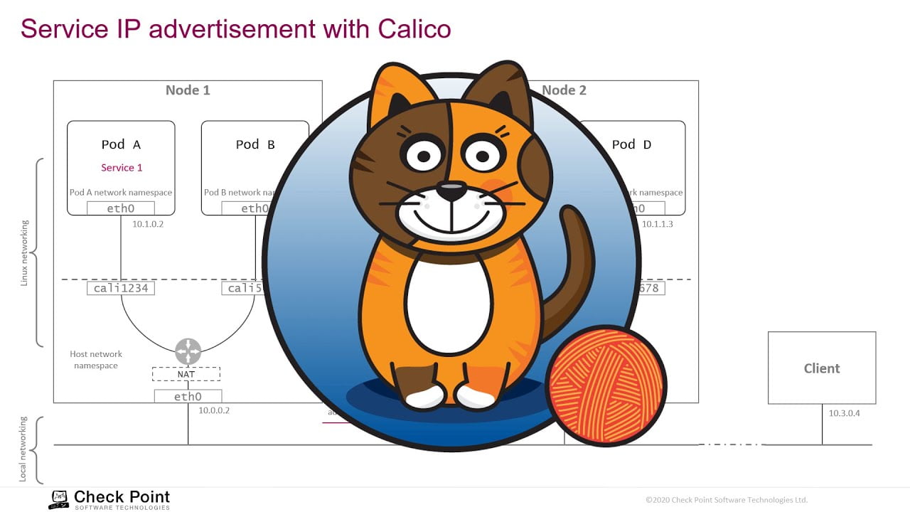 Видео превью