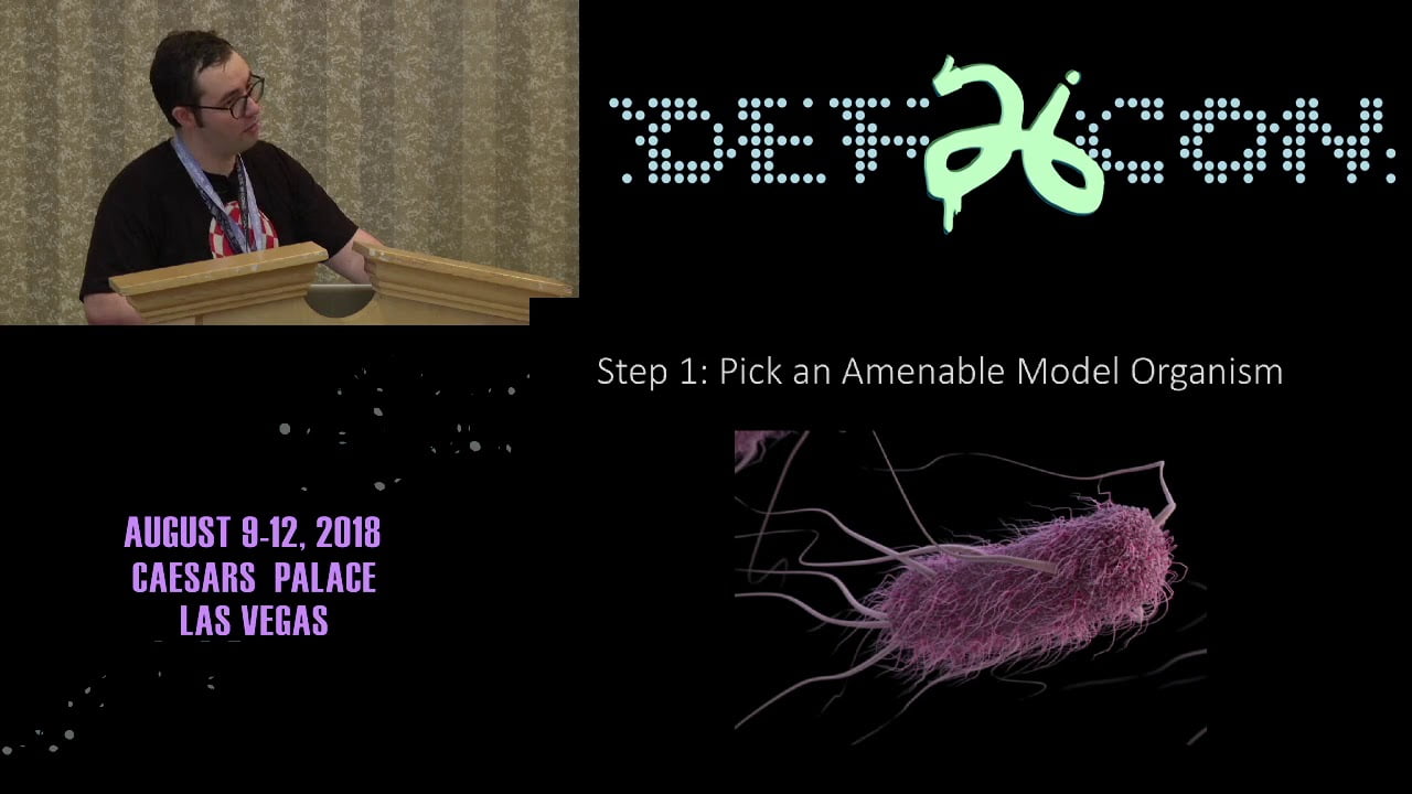 Видео превью