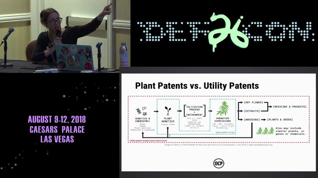 Видео превью
