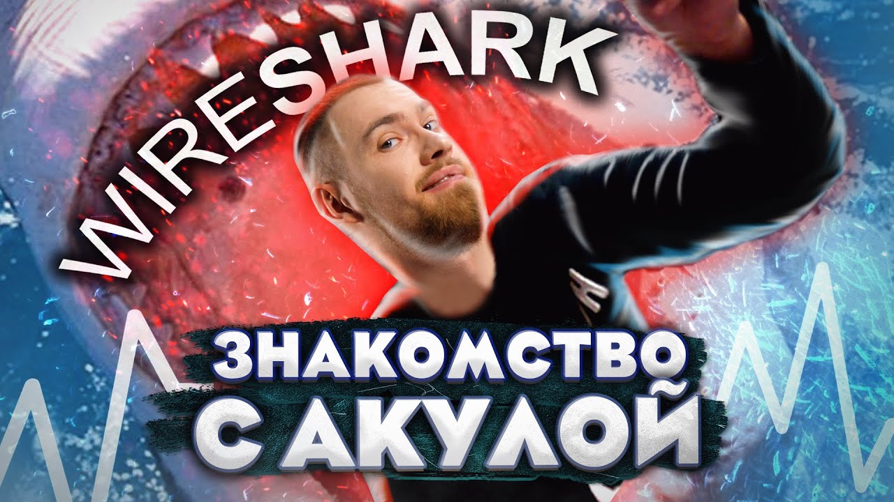 Видео превью