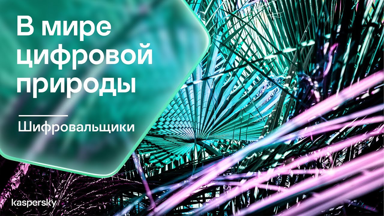 Видео превью
