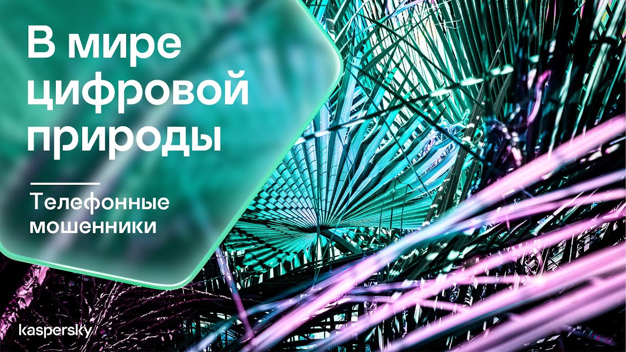 Видео превью