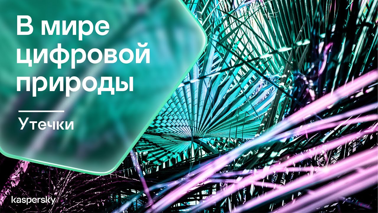 Видео превью
