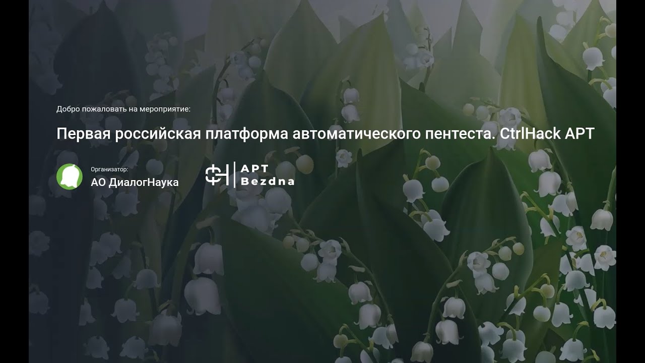 Видео превью