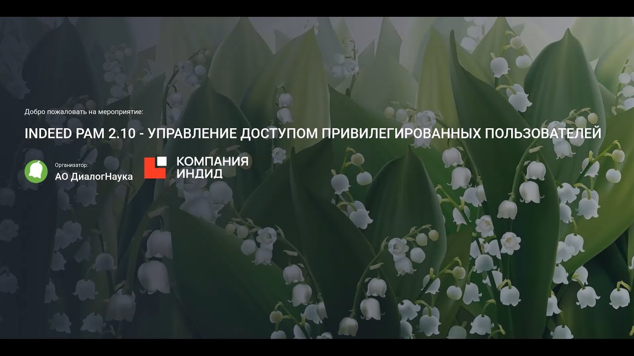Видео превью