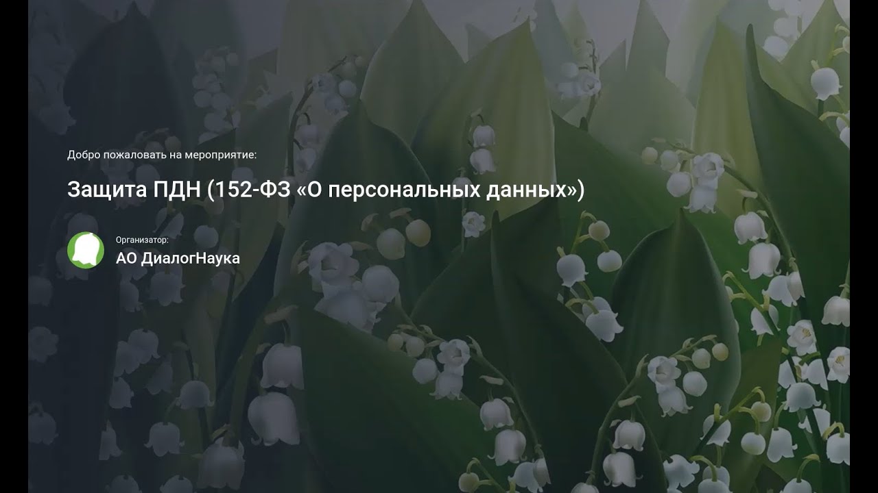 Видео превью